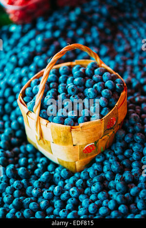 Frisches Obst Bio Beeren Blaubeeren In Weidenkorb. Herstellung von lokalen Lebensmittelmarkt. Getönten Sofortbild Stockfoto