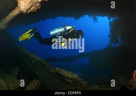 Ein Taucher schwimmt das Schiff halten Schiffswrack 'SS Dunraven', Rotes Meer, Ägypten Stockfoto