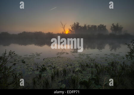 Reflexion der Bäume am Ufer bei Sonnenaufgang Strahlen. Stockfoto