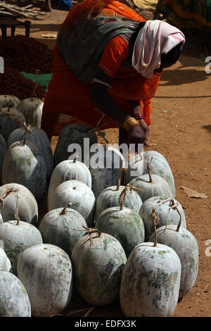 Adivasi Frau wählt eine Wassermelone in Tokapal Markt, Chhattisgarh, Madyha Pradesh, Indien Stockfoto