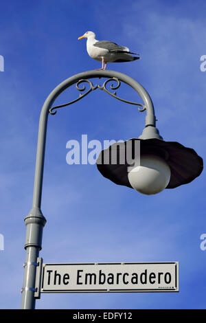 EMBARCADERO Seagull steht auf einer Art Nouveau Design Straßenleuchte mit Embarcadero Straßenschild San Francisco California USA Stockfoto