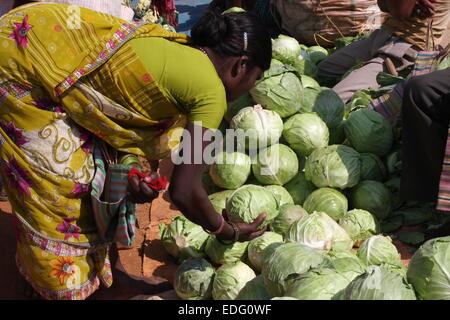 Frau Wahl einen Kohlkopf in Tokapal Markt, Chhattisgarh, Madyha Pradesh, Indien Stockfoto