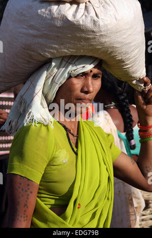 Adivasi Frau in Tokapal Markt, Chhattisgarh, Madyha Pradesh, Indien Stockfoto