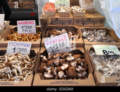 PILZE Bauern Markt Fähre Gebäude Embarcadero Bio Pilz Stand in The Farmers Market Ferry Building Embarcadero San Francisco Kalifornien USA Stockfoto