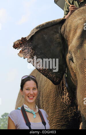 CHITWAN, NEPAL - 14. Oktober: Indische Elefanten - Elephas Maximus Indicus-Transport Touristen auf Safari im Morgengrauen über Chitwan NP. Stockfoto