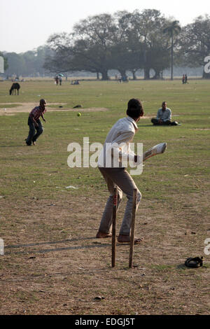 Jungs spielen Cricket auf er Maidan, Kolkata (Kalkutta), Indien Stockfoto