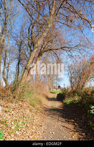 Landschaft-Straße am sonnigen Herbsttag Stockfoto