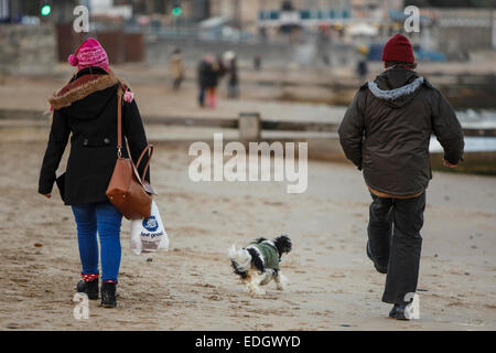 Mann, Frau und Hund zu Fuß am Strand von Swanage, Dorset in Großbritannien. Stockfoto