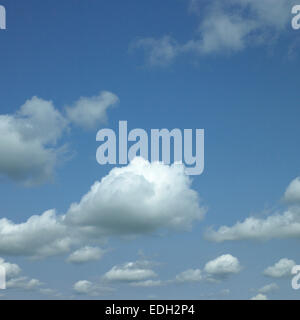 Perfekte geschwollene weiße Wolken am blauen Himmel Stockfoto