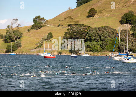 Schwimmer im Triathlon Rennen am Mount Maunganui, Neuseeland Stockfoto