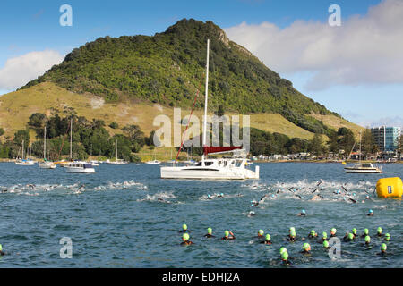 Schwimmer im Triathlon Rennen am Mount Maunganui, Neuseeland Stockfoto