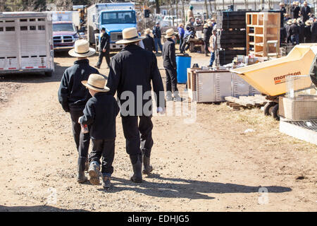 Amish an der jährlichen Frühlings-Schlamm-Verkauf und Versteigerung in Gordonville, PA, die Vorteile die lokalen Feuer Unternehmen. Stockfoto