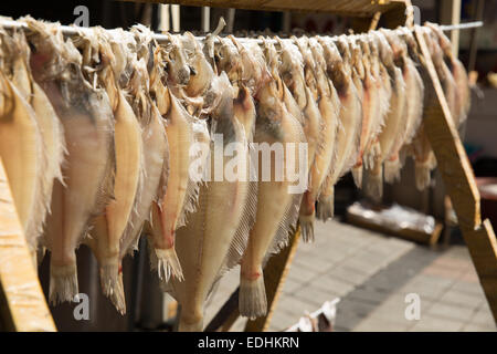 Frischer Fisch hängen an einem Mast am Jagalchi Fisch Markt, Busan, Republik Südkorea Stockfoto
