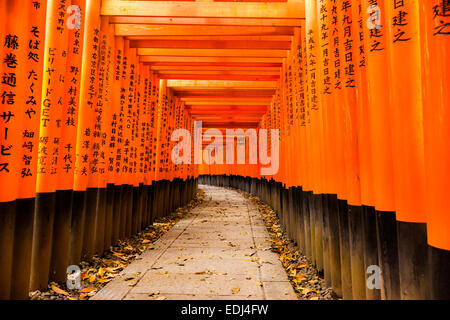 Fushimi Inari-Taisha-Schrein in Kyōto, Japan Stockfoto