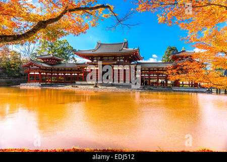 Byodo-in Tempel. Kyoto, Japan. Stockfoto