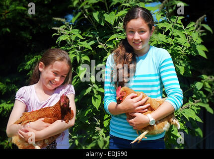 Zwei glückliche junge Schulmädchen halten Hühner in einem Garten im Norden Co. Dublin Irland Stockfoto
