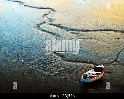 Ein einsamer Boot ruht in der Schlick bei Ebbe in Carlingford Hafen, Co. Louth, Irland Stockfoto