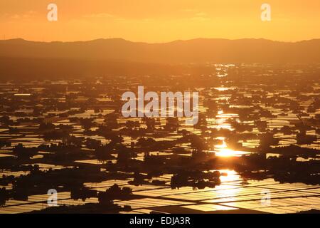 Sonnenuntergang auf überfluteten Reisfeld, Sankyoson, Toyama, Japan Stockfoto