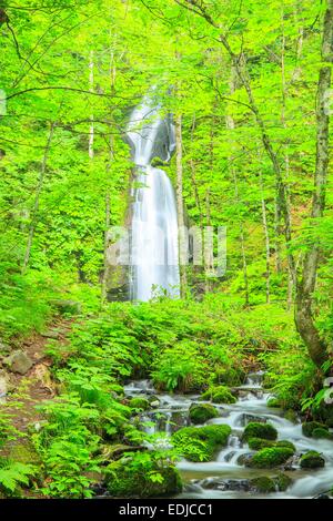 Oirase Stream, Kumoinotaki, Aomori, Japan Stockfoto