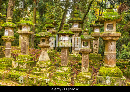 Steinlaterne im Kasuga-Taisha in Nara, Japan Stockfoto