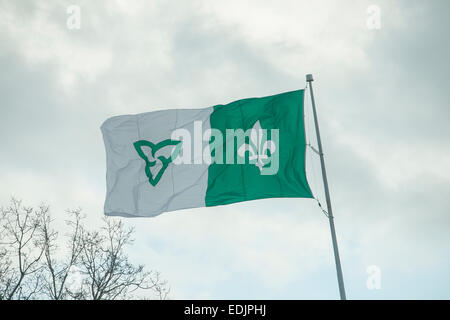 Die Franco-Ontarian Flagge fliegt in Ottawa Stockfoto