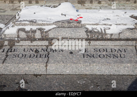 Erinnerung Mohn und die Abkürzung RIP werden von der National War Memorial in Con auf dem kanadischen Grab des unbekannten Soldaten gesehen. Stockfoto