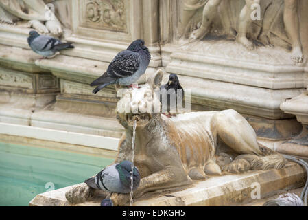 Detail Gaia Brunnen im Campo das Quadrat von Siena - Italien Stockfoto