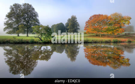 Reflexionen der Bäume in den Derwent in Chatsworth, Peak District Derbyshire England UK Stockfoto