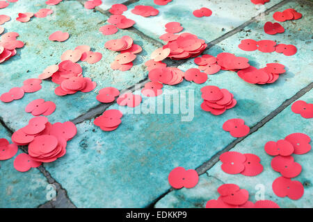 Papier-Mohn am Volkstrauertag Stockfoto