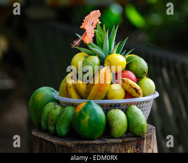 Seychellen tropische Früchte, Insel La Digue Stockfoto