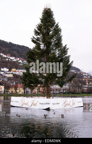 Der berühmte Lille Lungegardsvannet See in einem kleinen Park im zentralen Bergen mit Weihnachtsbaum-Norwegen Stockfoto