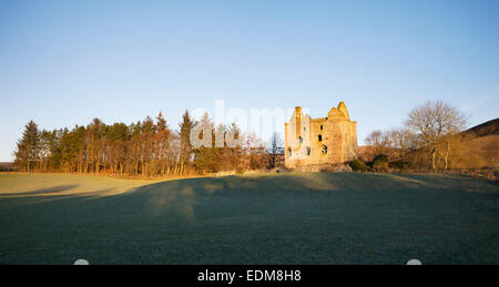 Newark-Turm im Winter. Bowhill House Estate, Selkirkshire. Schottland Stockfoto