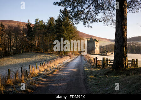 Newark-Turm im Winter. Bowhill House Estate, Selkirkshire. Schottland Stockfoto