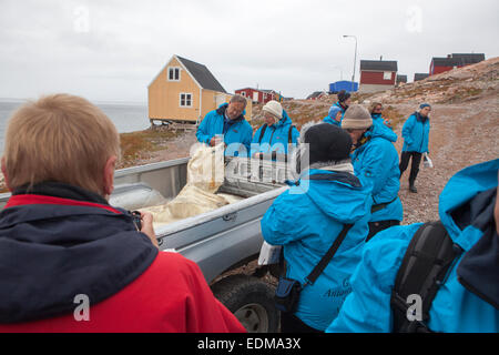 Touristen fotografieren ein Eisbär Fell in Ittoqqortoormiit, Skoresby Sund, Ostgrönland. Stockfoto