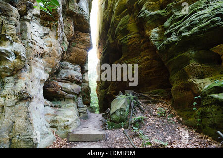 Mullerthal Trail in der Nähe von Nommern, Luxemburg Stockfoto