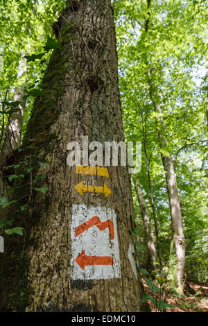 Wegweiser auf dem Mullerthal Trail in der Nähe von Nommern, Luxemburg Stockfoto