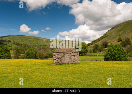 Traditionelle Blumenwiesen im Swaledale im Frühsommer, Butterblumen und Wildblumen, Muker, North Yorkshire, UK. Stockfoto