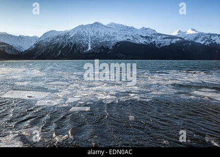 Eisbrocken auf die Chilkat Inlet in der Nähe von Haines Alaska an einem sonnigen Wintertag. Stockfoto