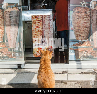 Die Katze saß auf dem Bürgersteig vor einem Kebab-Fast-Food-Geschäft an der High street Stockfoto