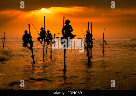 Silhouetten der traditionellen Fischer bei Sonnenuntergang in Sri Lanka Stockfoto