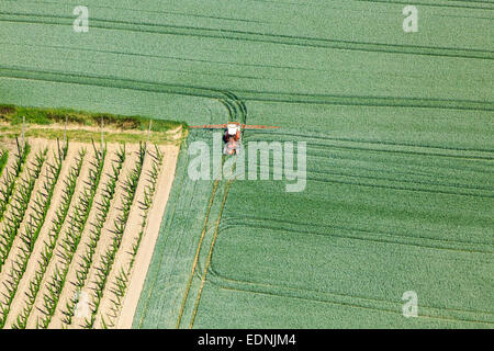 Luftaufnahme, Landwirt in einem Traktor sprühen ein grünes Weizenfeld, Landshut, untere Bayern, Bayern, Deutschland Stockfoto