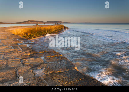 Der Cob Lyme Regis Dorset, UK Stockfoto