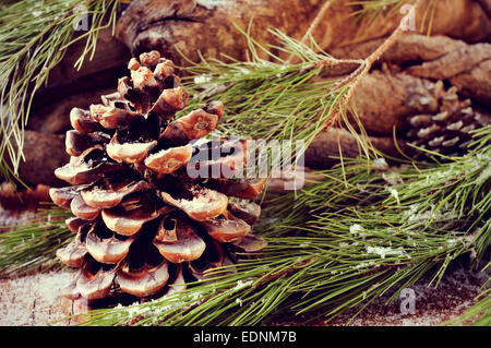 Nahaufnahme von einem Zweig der Kiefer und Tannenzapfen mit Schneeflocken und ein Haufen von Protokollen im Hintergrund Stockfoto