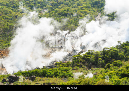 Ins Tal (vulkanische Tal mit aktiven Schwefel- und Thermalquellen in Hakone, Kanagawa, Japan) Stockfoto