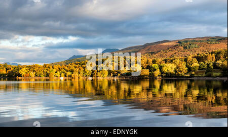 Herbstfärbung auf einem Hügel an der Milarrochy Bucht am Ufer des Loch Lomond Stockfoto