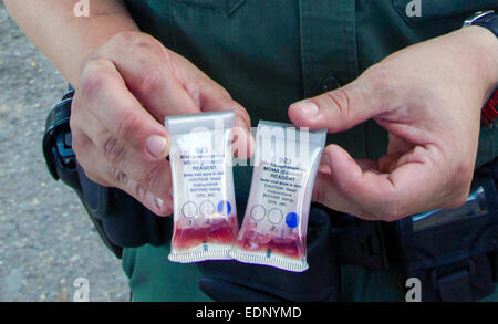 U.S. Customs and Border Protection Officer holding Reagenz-Test-Kits für MDMA. Siehe Beschreibung weitere Informationen Stockfoto