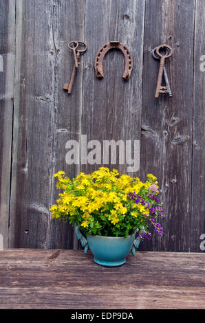 St Johns Würze medizinische Blumen in Vase und antiken rostigen Hufeisen mit Schlüssel auf Bauernhof Scheune Wand Stockfoto