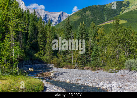 Fluss, der durch das Kananaskis Gebiet von Alberta, Kanada. Stockfoto