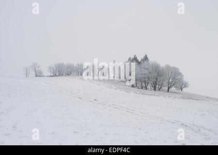 Baum im Schnee bedeckt Winterlandschaft an einem kalten Tag im Dorf oder Ferienhaus bereift. Dezember, Stockfoto