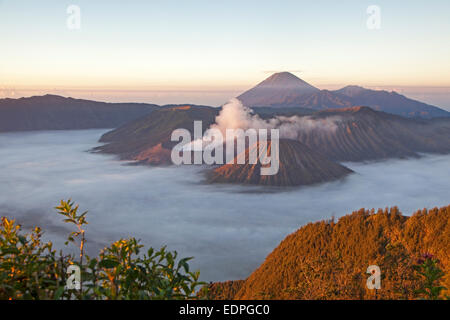 Sonnenaufgang über dem Mount Bromo / Gunung Bromo, Cargocontainern Vulkan und Teil des Tengger-Massivs, Ost-Java, Indonesien Stockfoto